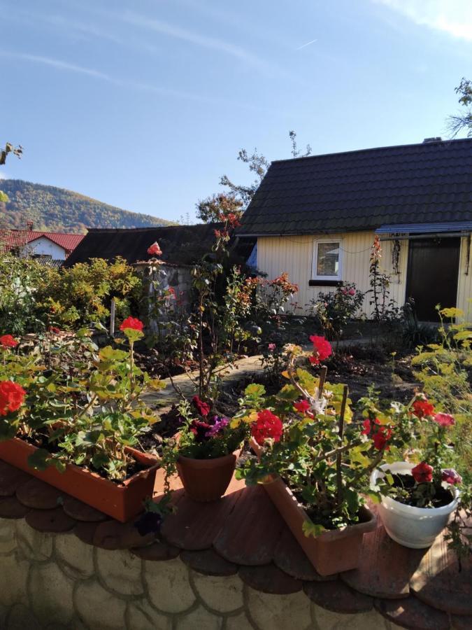У Вуйка Івана Villa Yaremche Exterior photo